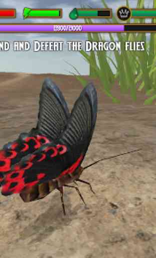 Butterfly Simulator 4