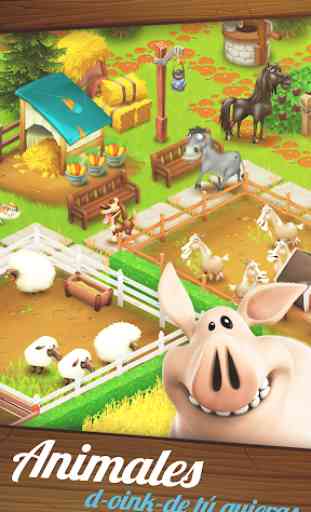 Hay Day 4
