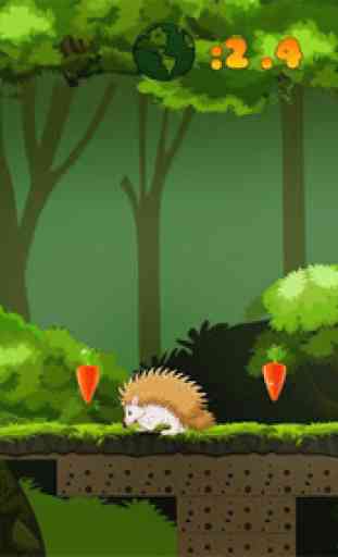 Jungle Bunny Run 1