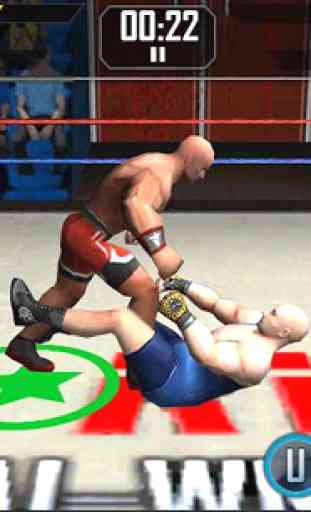 Lucha real 3D 2