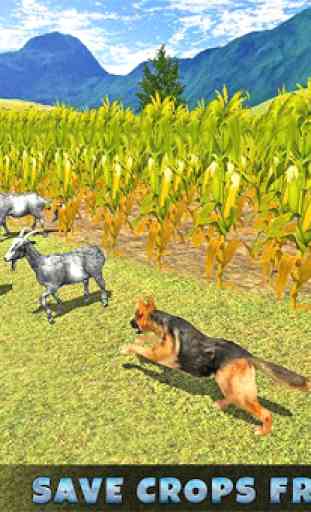 Real Dog shephard world sim 3