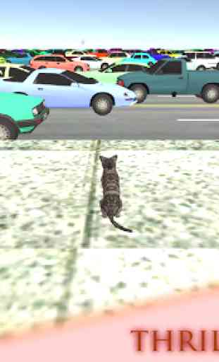 Simulador de Gato Real 2