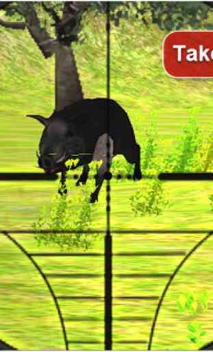 Sniper Boar Hunting 3D 4