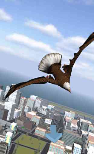 Águila Bird City Simulador 1