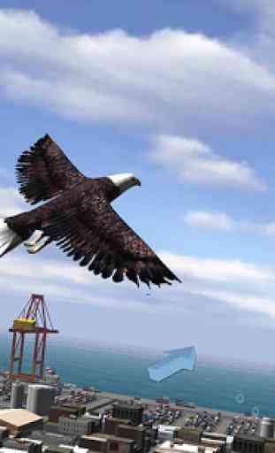 Águila Bird City Simulador 2