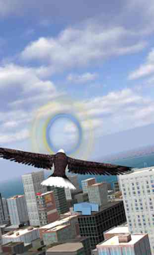 Águila Bird City Simulador 3
