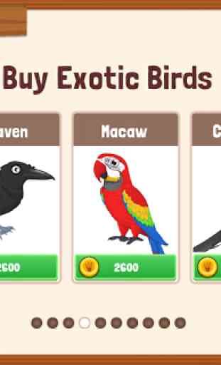 Bird Land: Juego de Tienda de Mascotas y Pájaros 1
