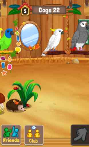 Bird Land: Juego de Tienda de Mascotas y Pájaros 3