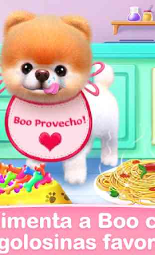 Boo – El Perro Más Lindo 2