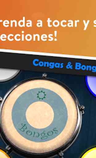 Congas & Bongos - Equipo de Percusión 1