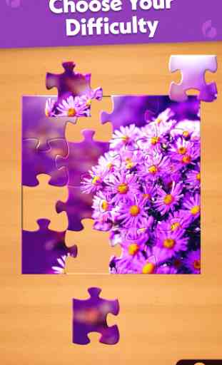 Jigsaw Puzzle 3