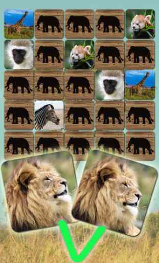 Juegos de Zoológico: África 1