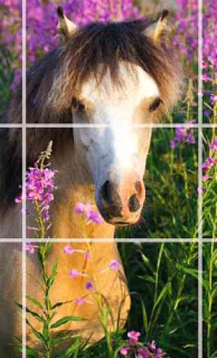 Puzzle - hermosos caballos 1