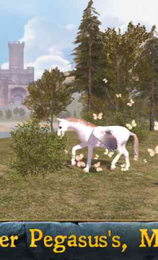 Simulador de Pegasus 4