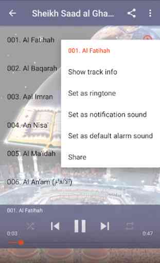Al Ghamidi Quran MP3 Offline 4