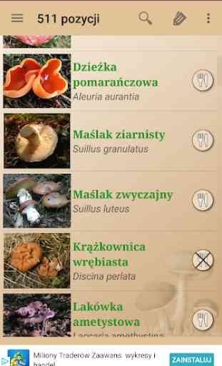Atlas grzybów 2
