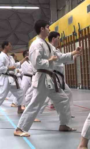 Entrenamiento de Karate 2
