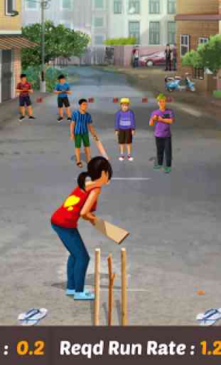 Gully Cricket Game - 2019 2