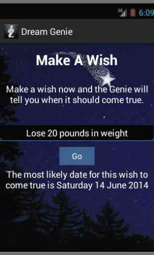 Make A Wish Come True Genie 2