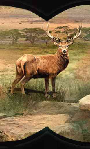 Deer Hunting 2