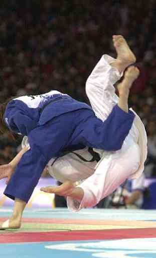 Lecciones Judo y Arte Marcial 2
