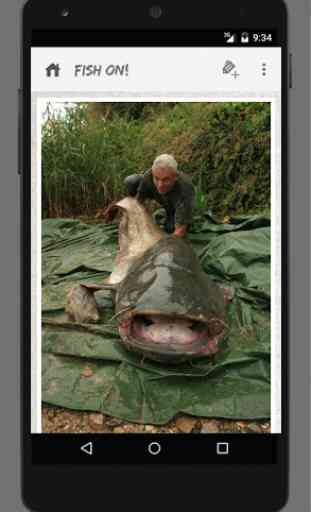 River Monsters Fish On! 4