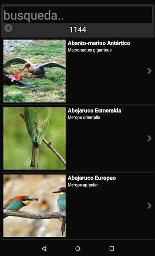 Ornithopedia Europe 2