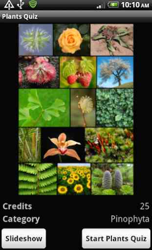 Plants Quiz - for botanists 1