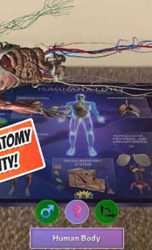 Popar Human Anatomy 1