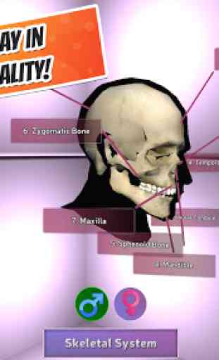 Popar Human Anatomy 2