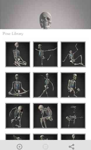 Skelly: Poseable Anatomy Model 4