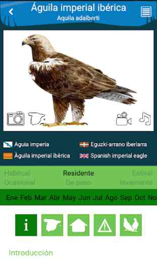Aves de España 3