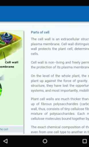 Cell Structure 4