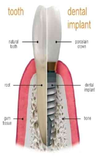 Odontología 1