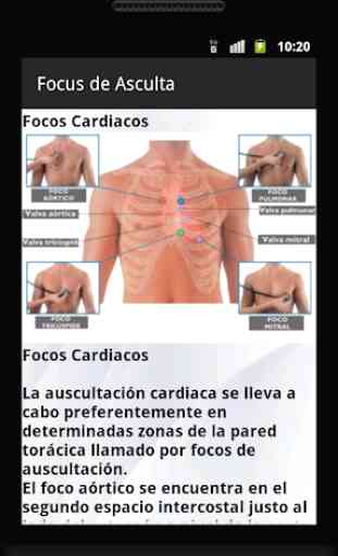 Ausculta Cardio-Pulmonar 4