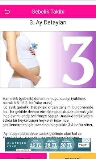 Gebelik Hamilelik Takibi 4