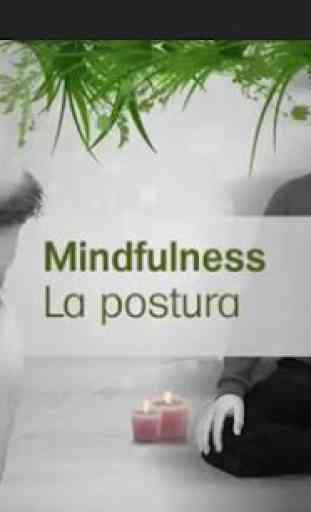 Mindfulness Sci 4