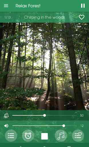 Relájese Bosque ~ Sonidos de la naturaleza 2