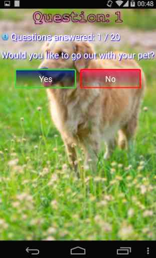Which Pet? 4