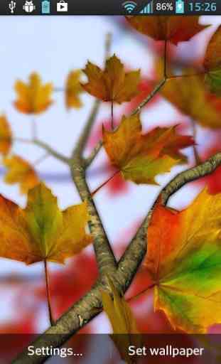 Autumn Leaves in HD Gyro 3D Parallax Wallpaper 2