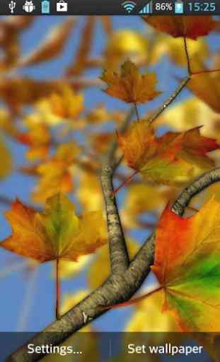 Autumn Leaves in HD Gyro 3D Parallax Wallpaper 3