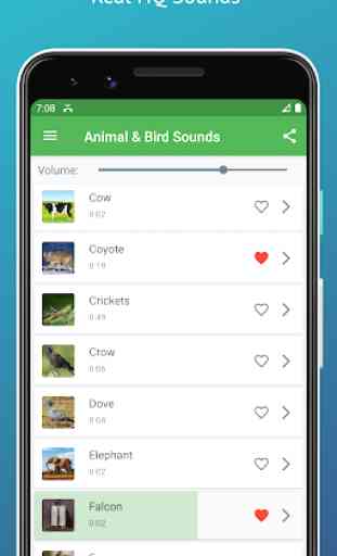Caja de resonancia de pájaros y animales 2