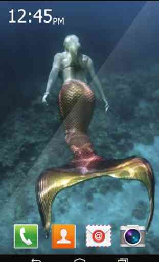 Mermaid Maritime Live 2