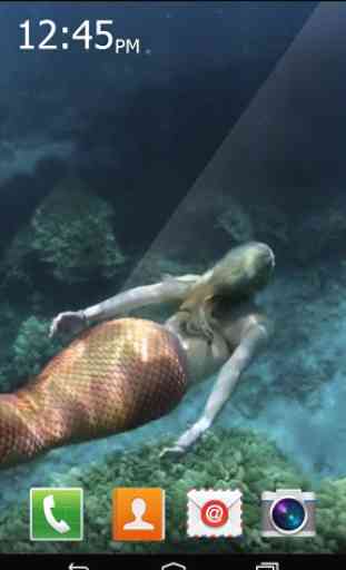 Mermaid Maritime Live 3