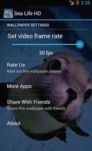 Sea Life HD Video Wallpaper 3