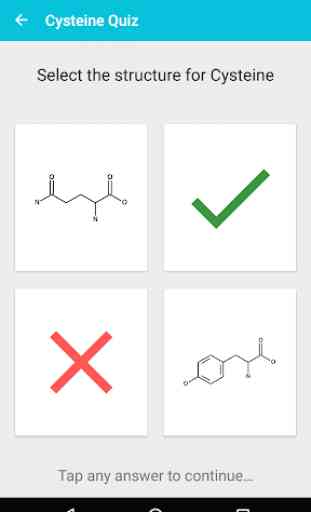 Amino Acid Test 4