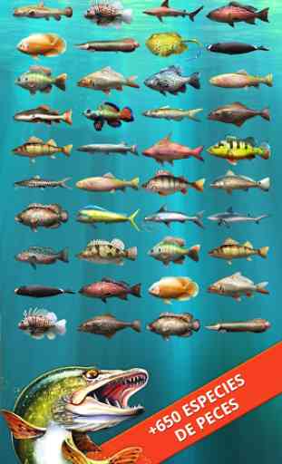 Let's Fish: Juegos de Peces. Simulador de Pesca. 3