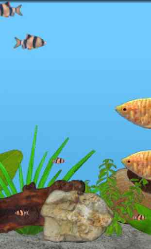Aquarium Fish 4