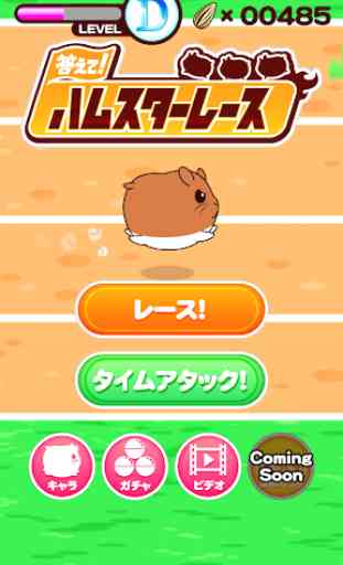 Let's Answer! Hamster Race 1