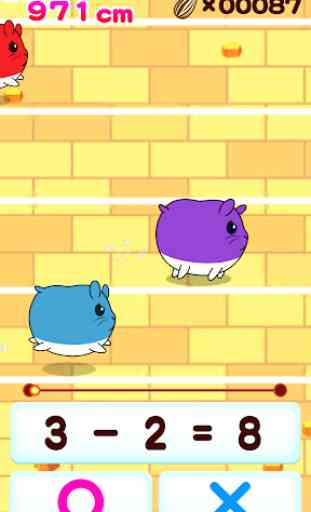 Let's Answer! Hamster Race 2